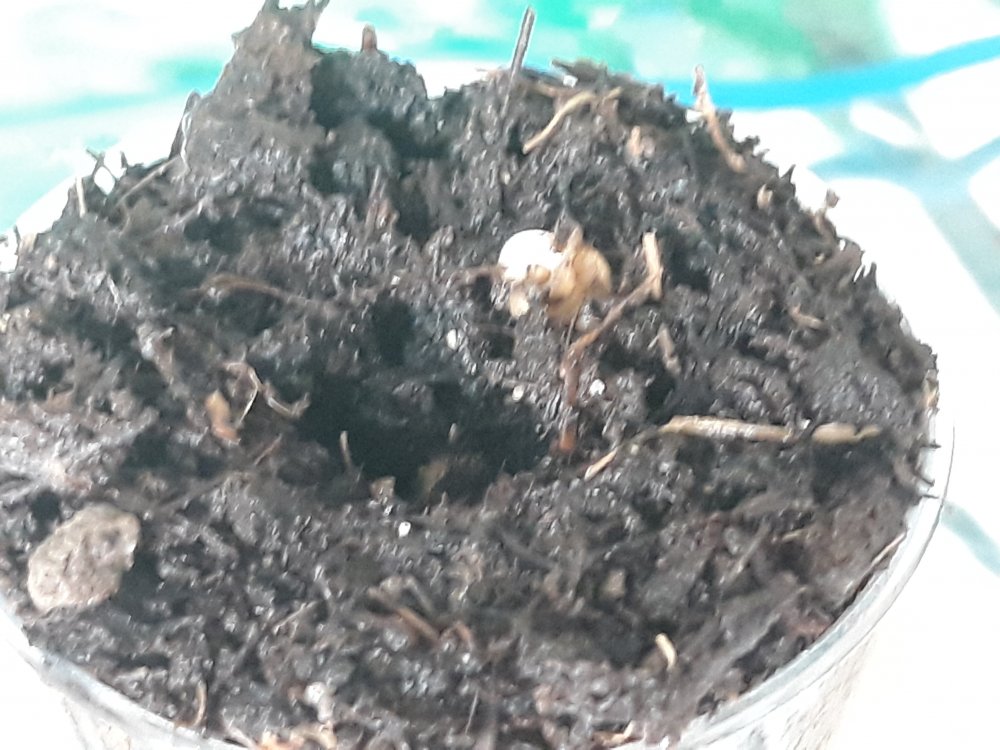 20181007_163150