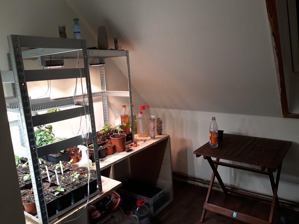 20190203_190552.jpg