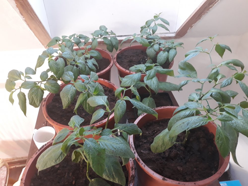 20190210_105412.jpg