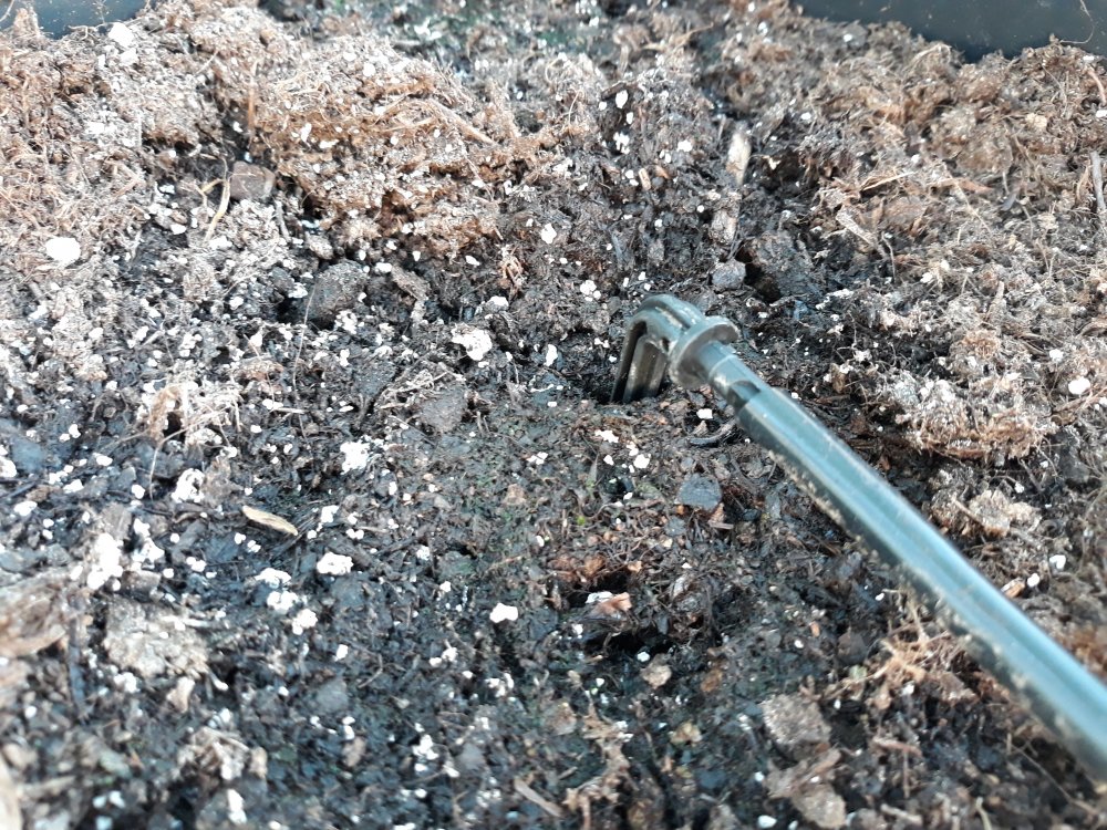 20190329_172941.jpg
