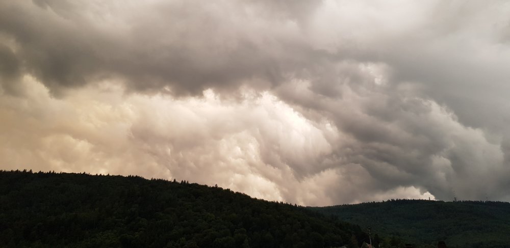 20190727_210319.jpg
