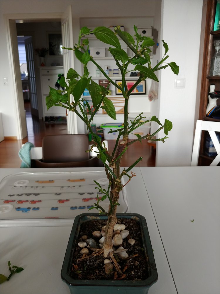 20191022_152953.jpg