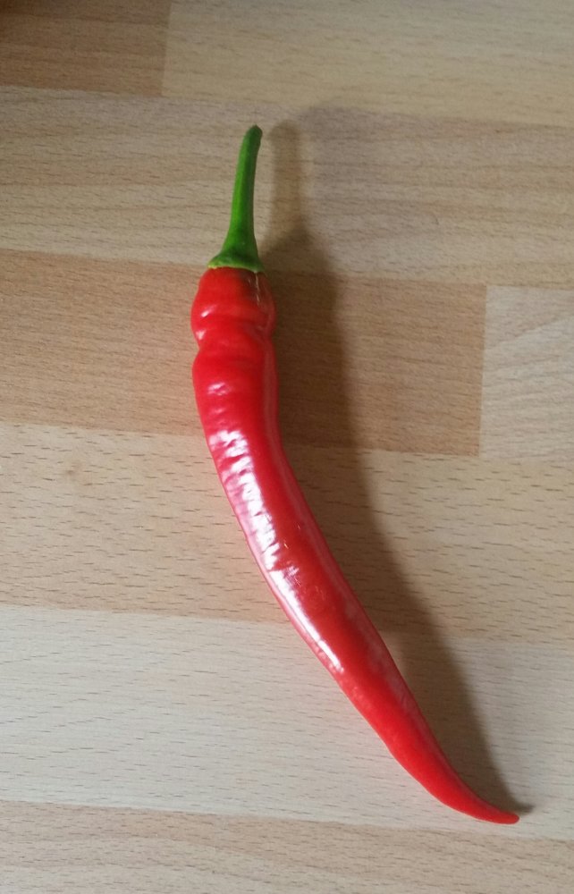 2020-08-17 18.10.09.jpg