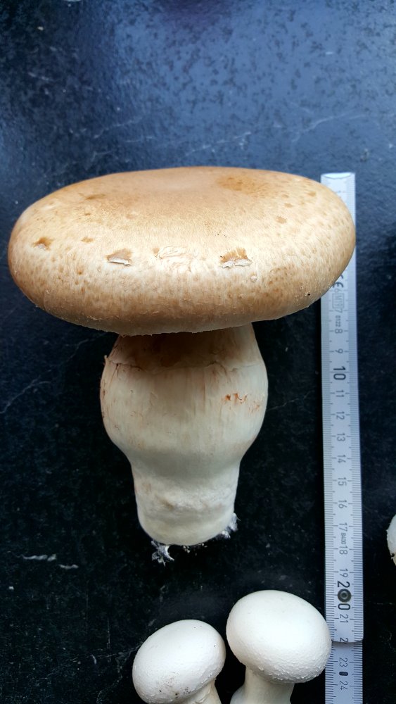 20210821_125940.jpg
