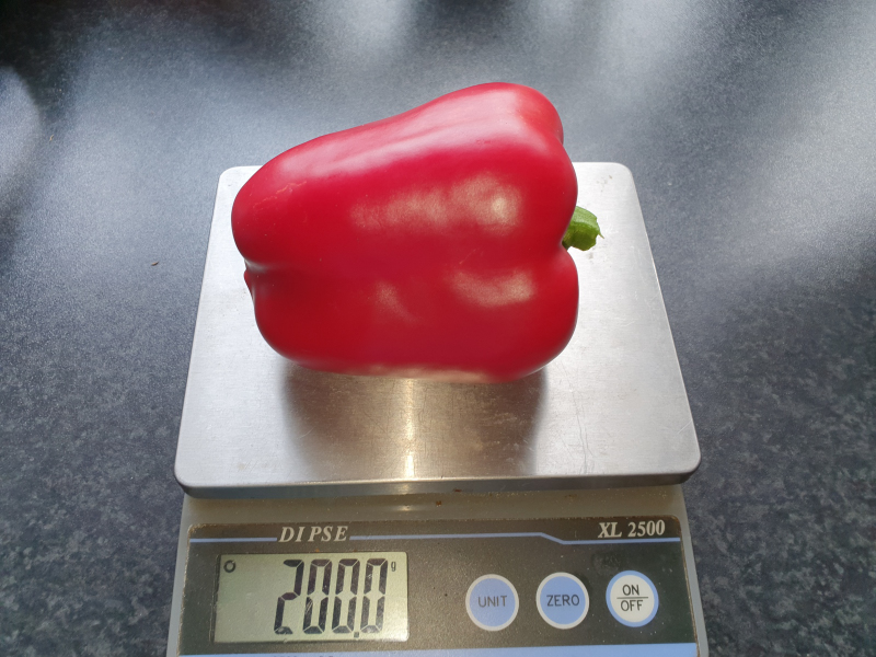 20220913_142400_01-California Wonder.JPG