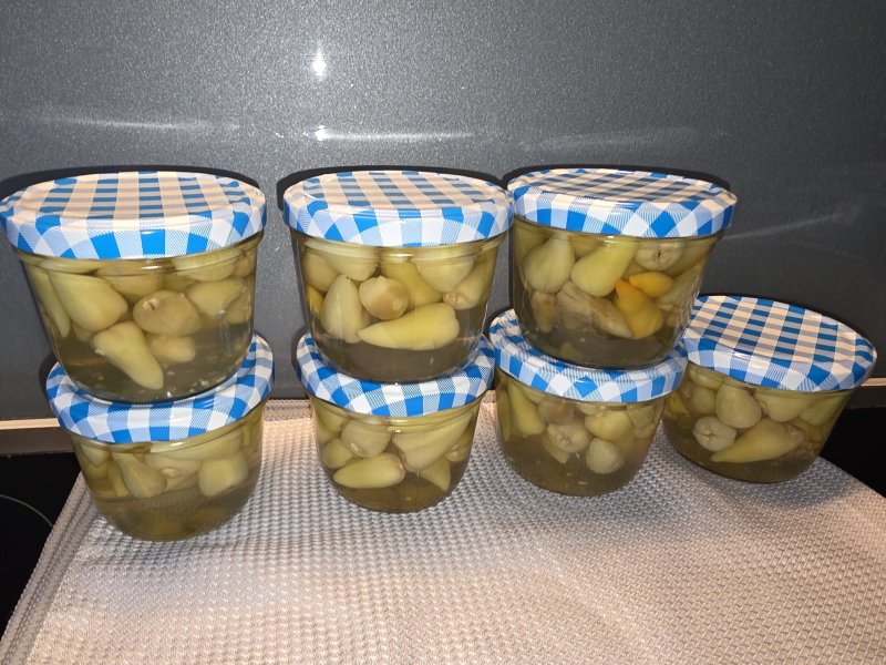 20250707_Biberiye eingekocht.JPG