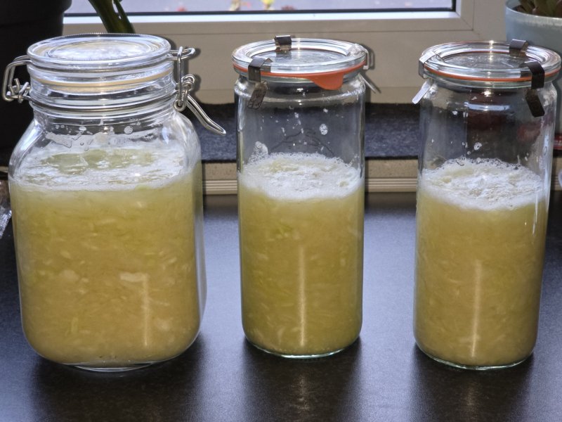 20251103_Sauerkraut.JPG