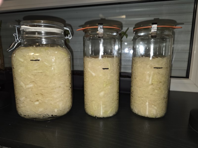 20251105_Fermentation Sauerkraut.JPG