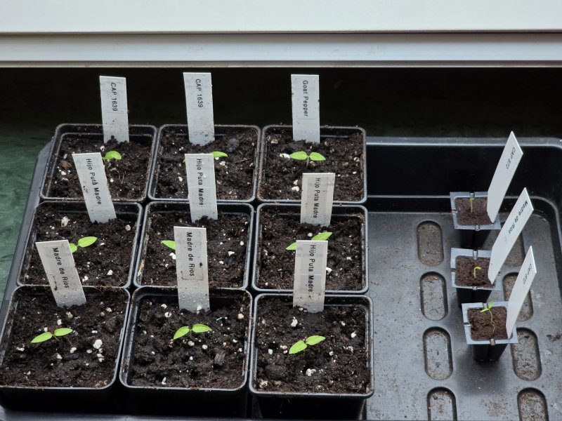 20260104_Erstes Topfen.JPG