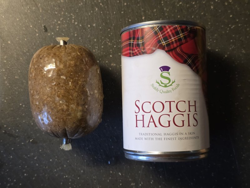 20260211_Haggis1.JPG
