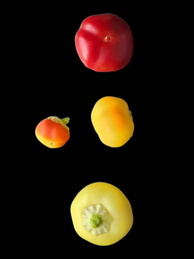 20260717_Sweet Apple Kambe 2.webp