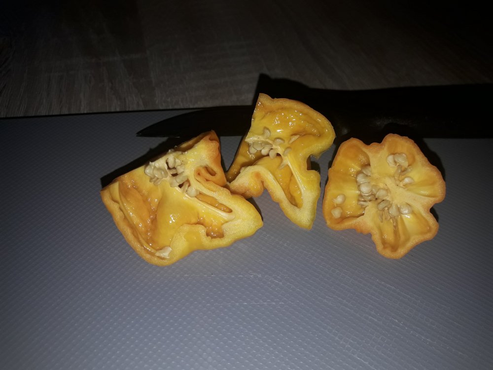 7 Pot BBG Yellow (2)