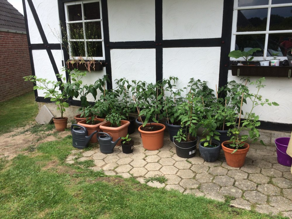 7DEE451C-817B-45F6-85A9-6A17C75A76E1