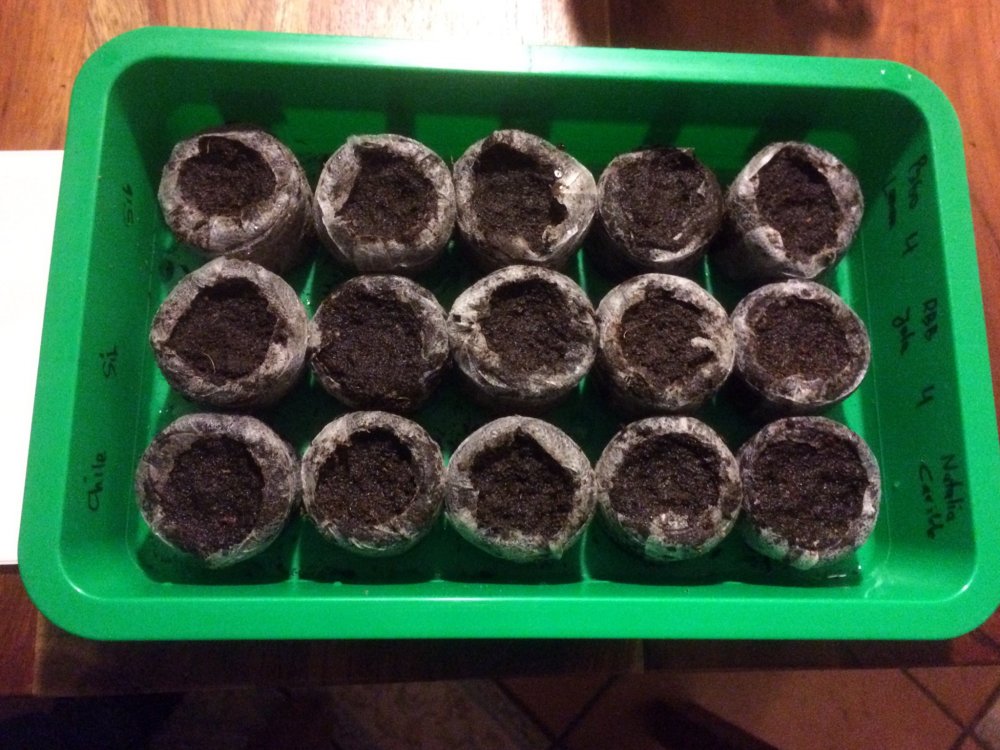 857C10A1-BD74-454B-8F6E-22269D321160