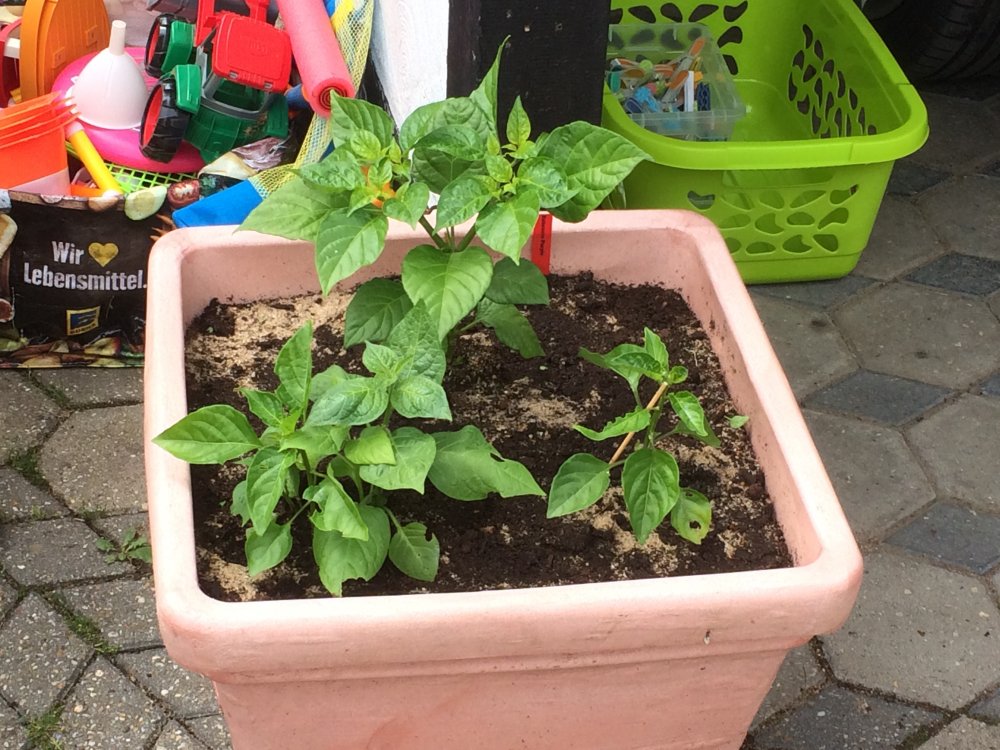 A5420564-5F41-4CBC-9CB6-C070363529F5