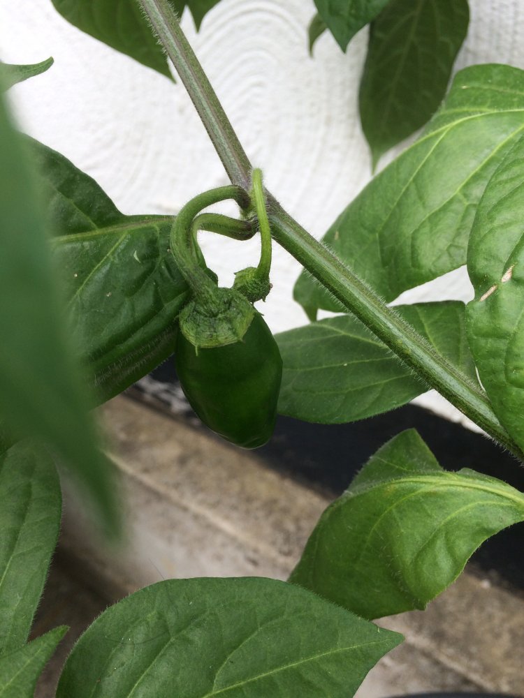 A7A0B8E0-3D89-4F03-B241-56AAED64BD75