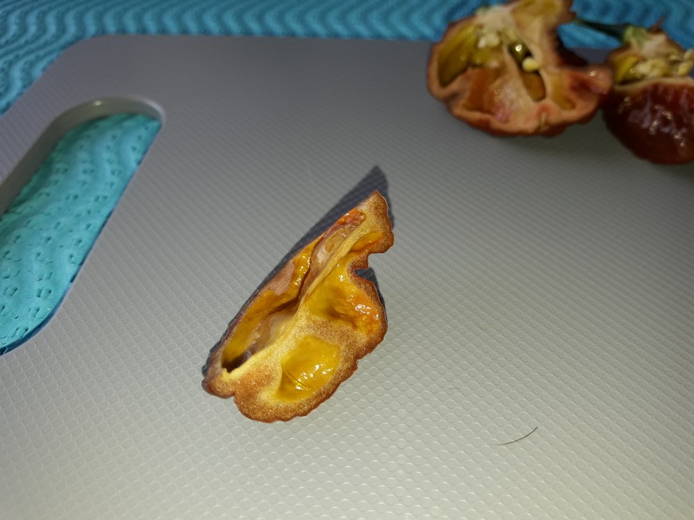 Apocalypse Chocolate Test (3)