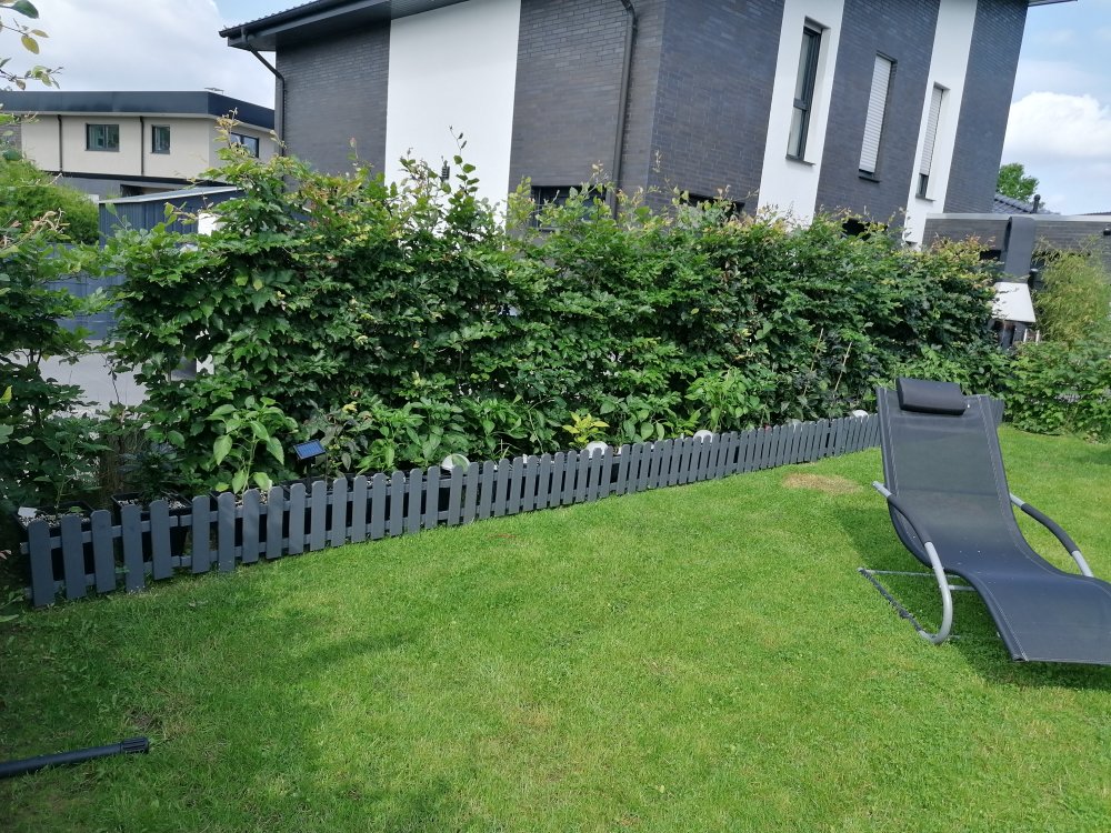 Ausblick vom Hochbeet.jpg