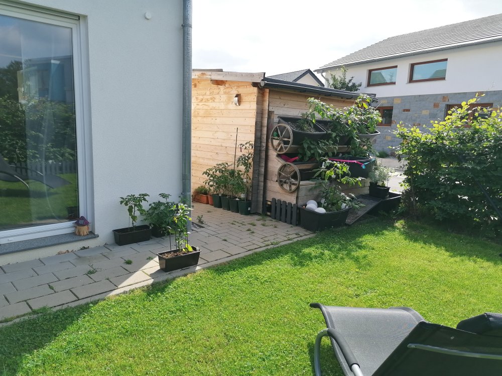 Ausblick von der Hecke.jpg