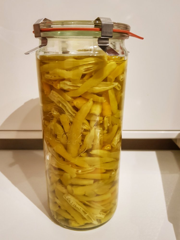 Baccatum Ferment