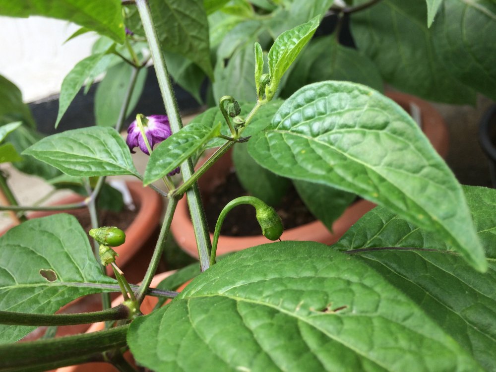 BC36B161-E8FF-4968-8C3D-977A6EA314DB