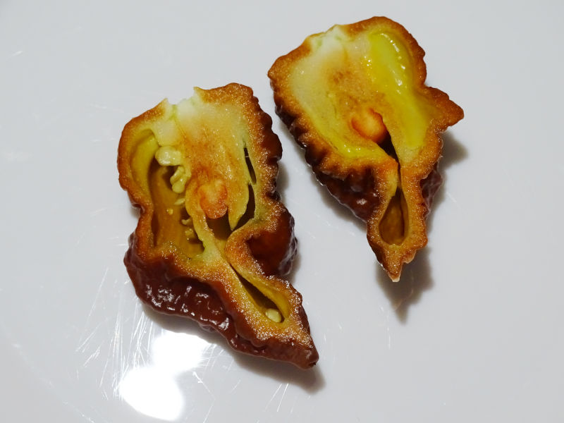 Big_Black_Mama_aufgeschnitten_20180827