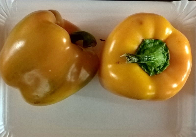 California Wonder Gold