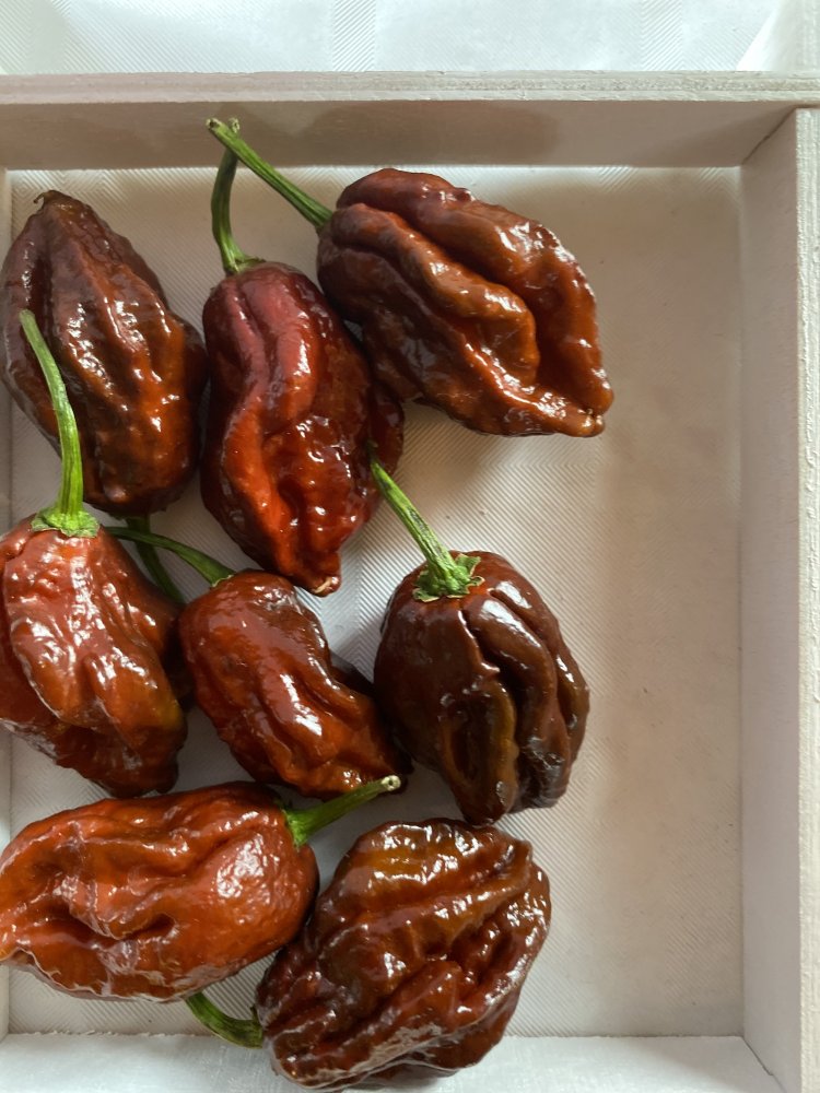 Carolina Reaper Chocolate