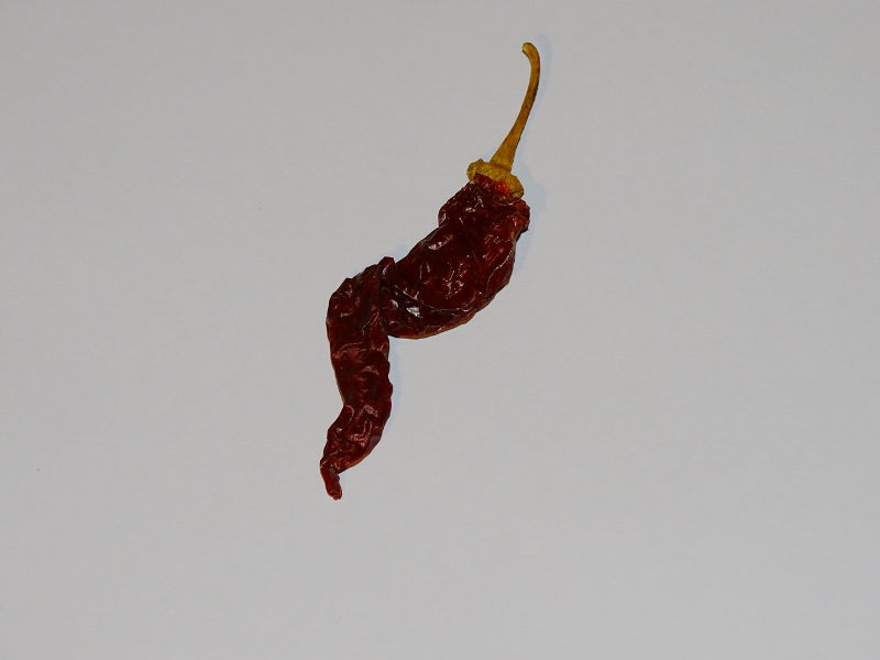 Chili 237