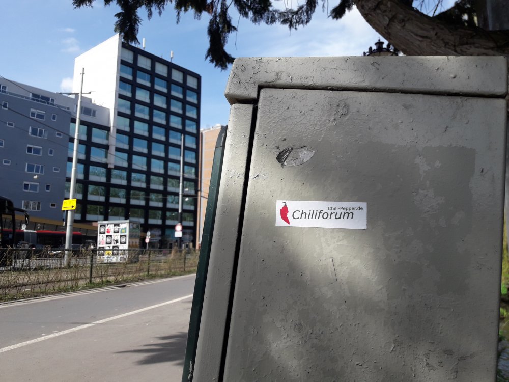 Chili-Pepper Amsterdam (1)