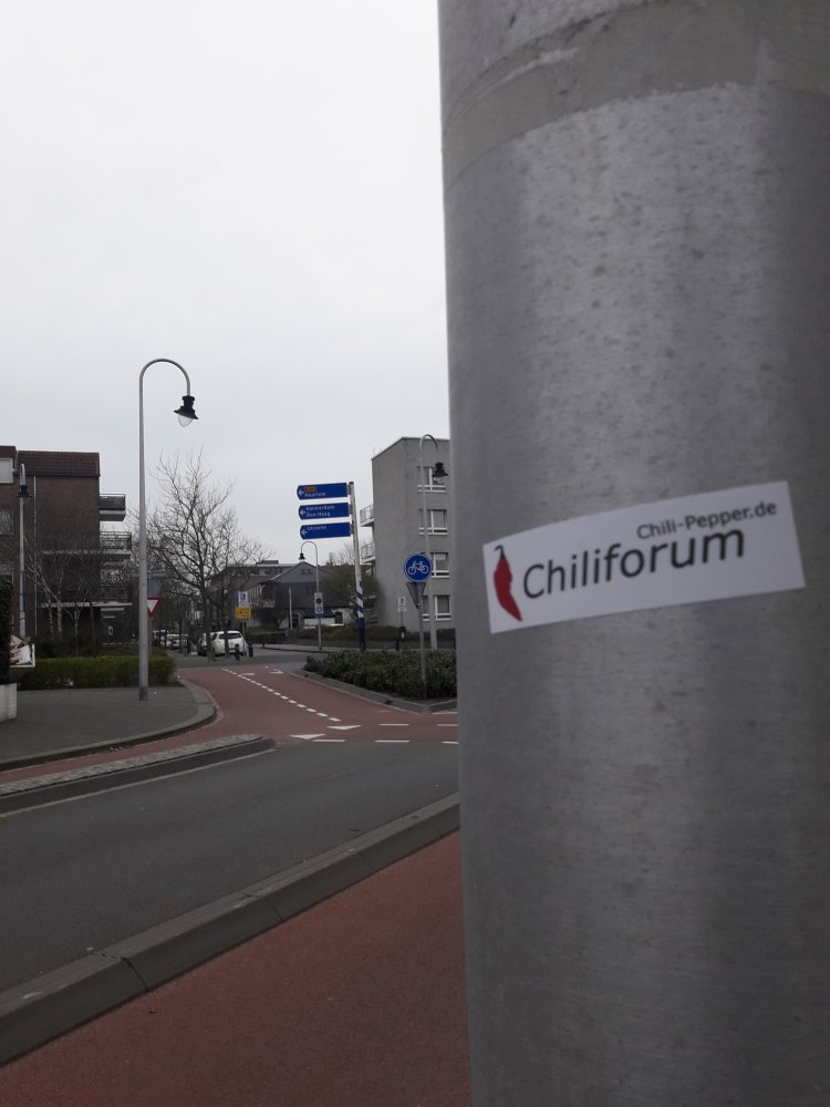 Chili-Pepper goes Zandvoort