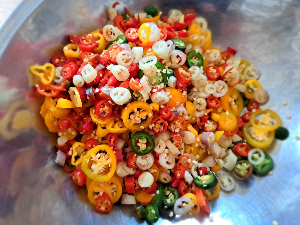 Chili Verarbeitung 230922 01.jpg