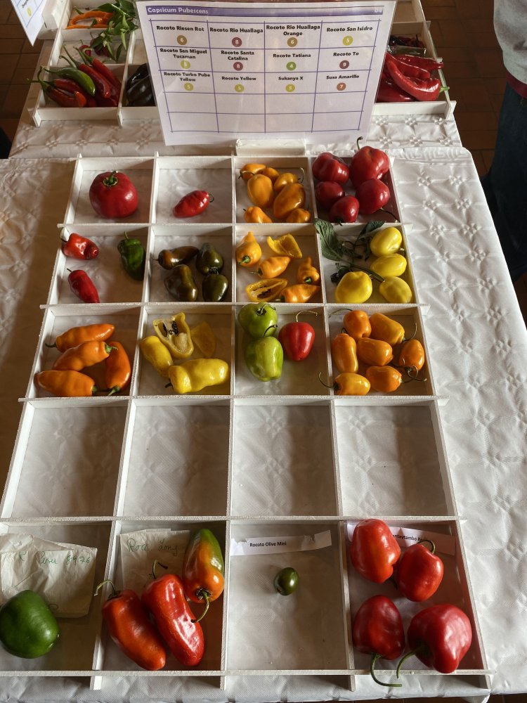 Chiliausstellung Oberursel