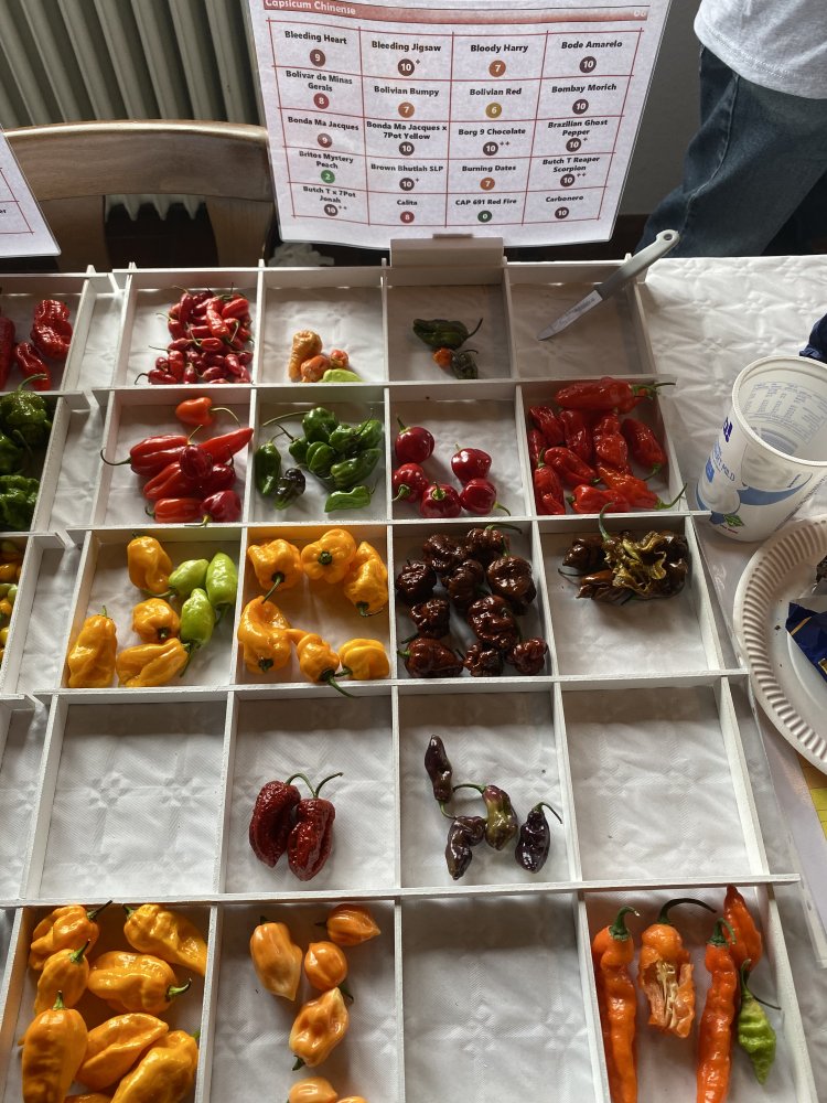 Chiliausstellung Oberursel