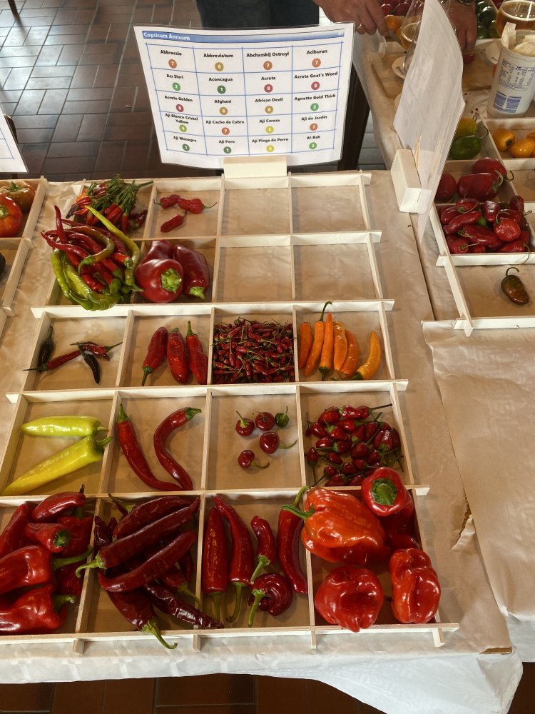 Chiliausstellung Oberursel