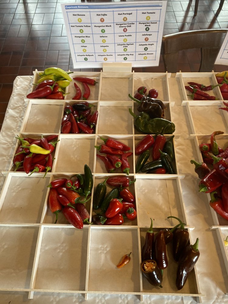 Chiliausstellung Oberursel