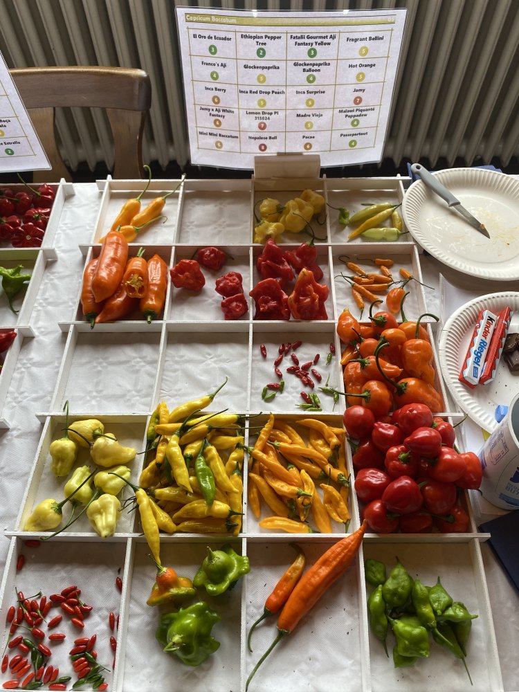 Chiliausstellung Oberursel