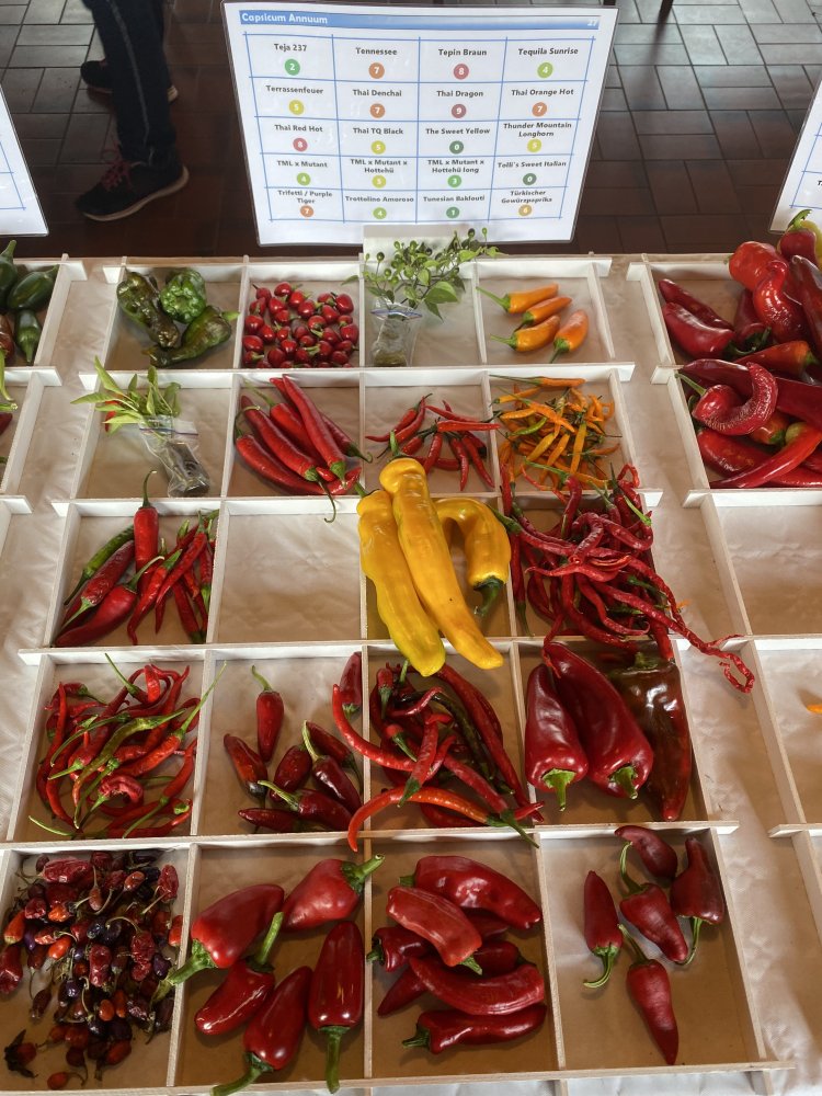 Chiliausstellung Oberursel