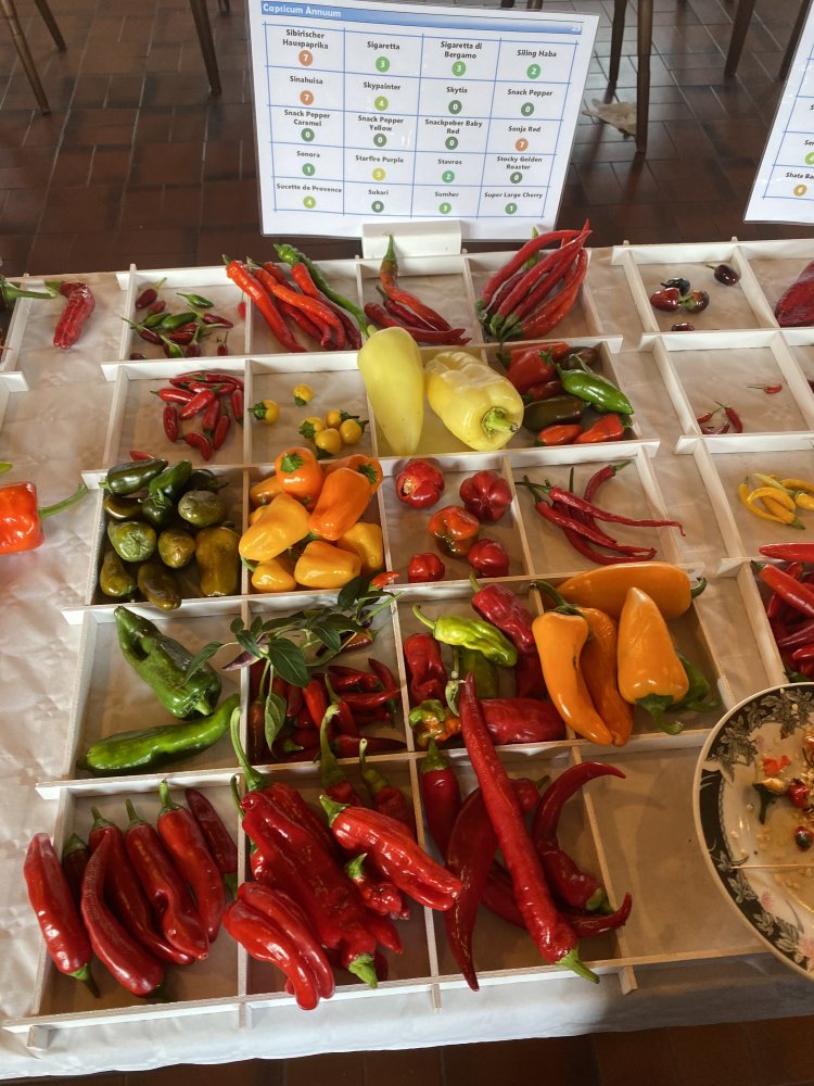 Chiliausstellung Oberursel