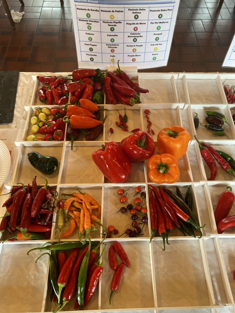 Chiliausstellung Oberursel