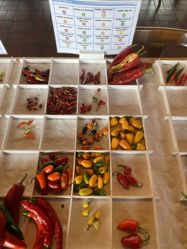 Chiliausstellung Oberursel