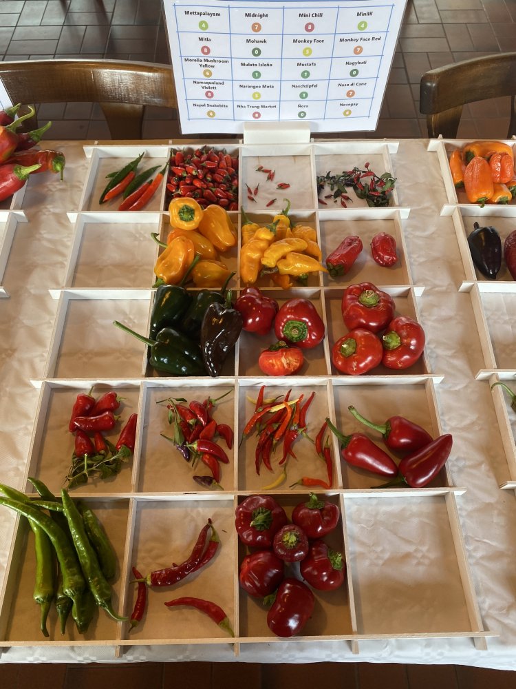 Chiliausstellung Oberursel