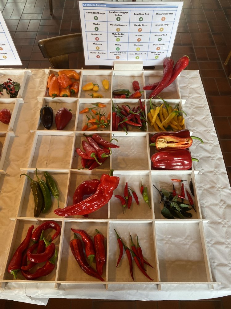 Chiliausstellung Oberursel