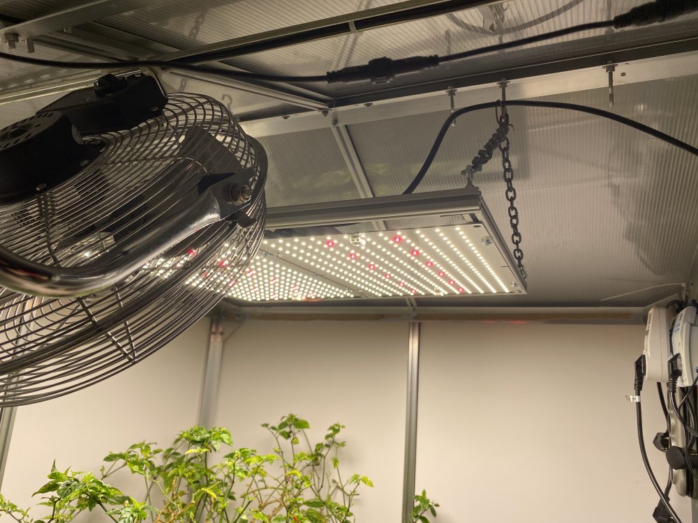 Chilihaus mit Zeus 300 XT Mixed