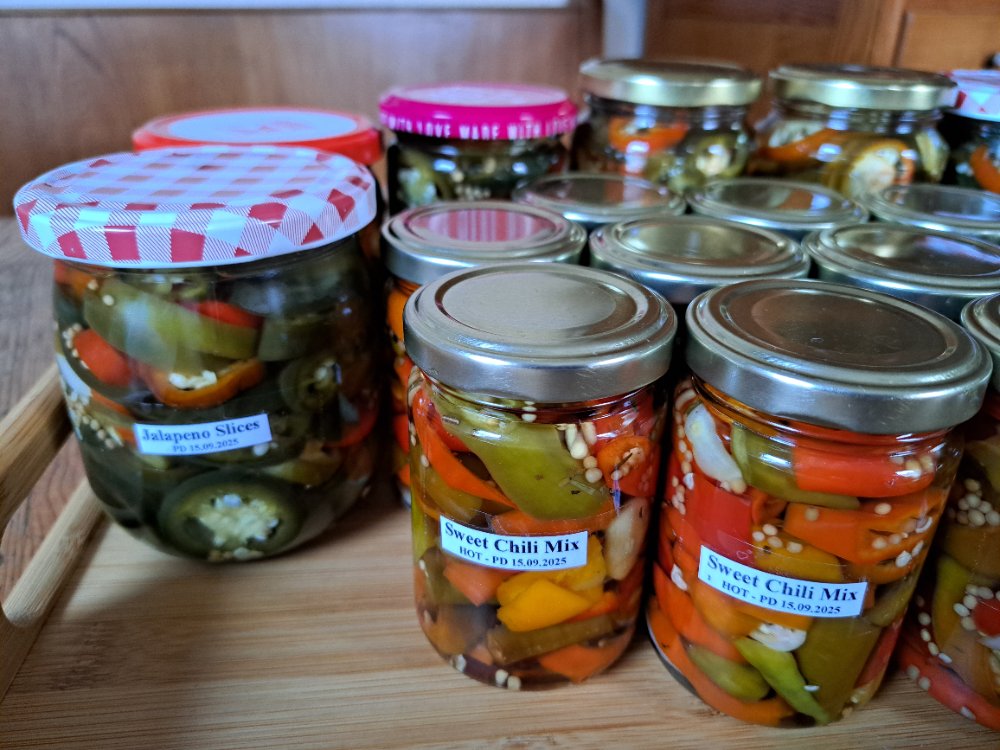 Chilis PD150925 02.jpg