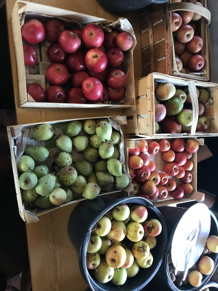 Chilitreffen Oberursel