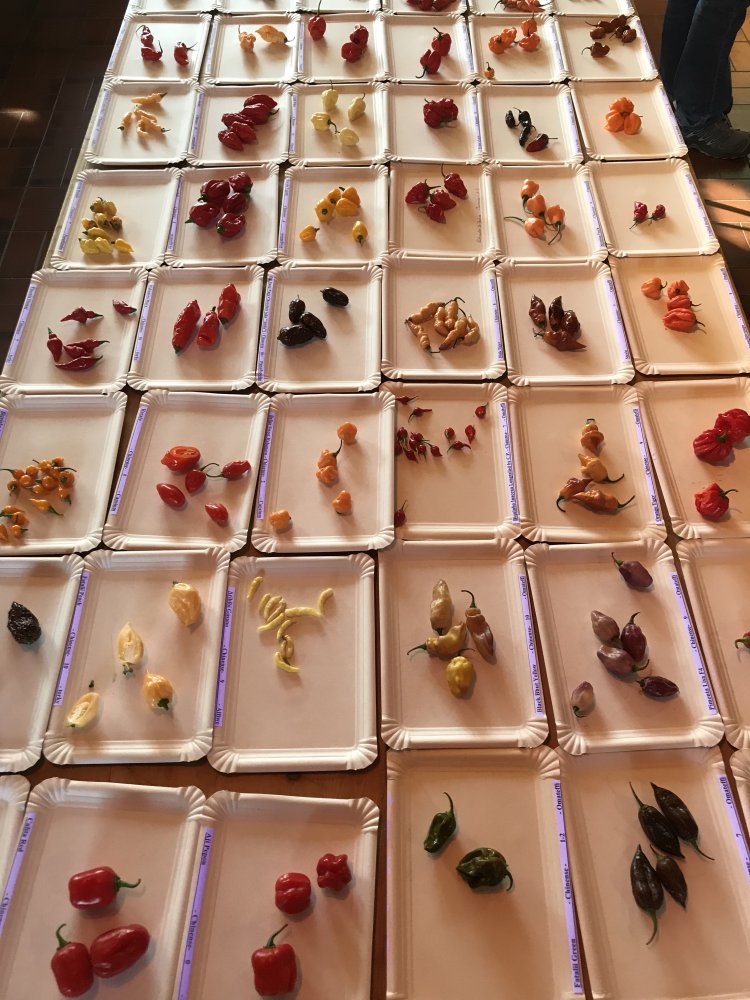 Chilitreffen Oberursel