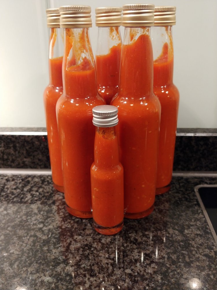 Chipotle in Adobo Sauce