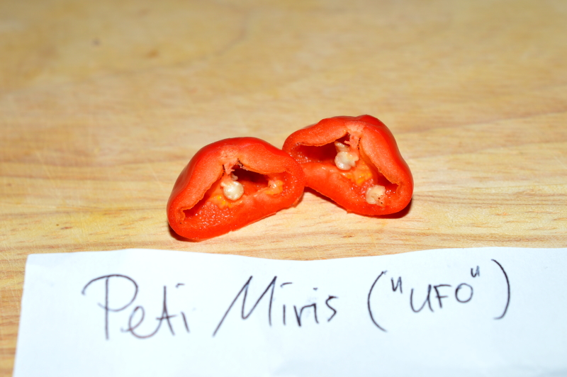 Collection 04 PM(UFO)