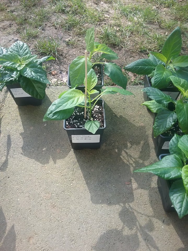 Das erste mal draußen